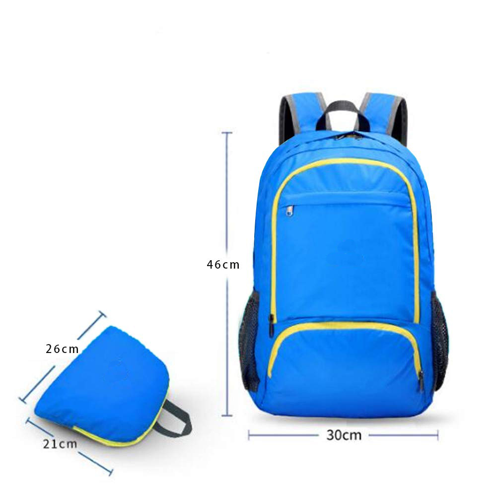 51qu9zex2cl._sl1001_