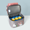 Organizador térmico para llevar el almuerzo, bolsa de asas, transporte aislado, bolsa de almuerzo de leche materna para mujeres, bolsa de almuerzo con mochila con correa para el hombro