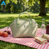 Bolsa de almuerzo bonita, bolsa de mano térmica de poliéster reutilizable, bolso portátil para el trabajo, Picnic, almacenamiento de comida escolar